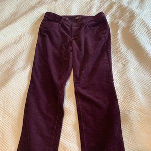 Ann Taylor Straight-Leg Jeans